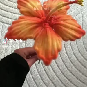 fleur corail