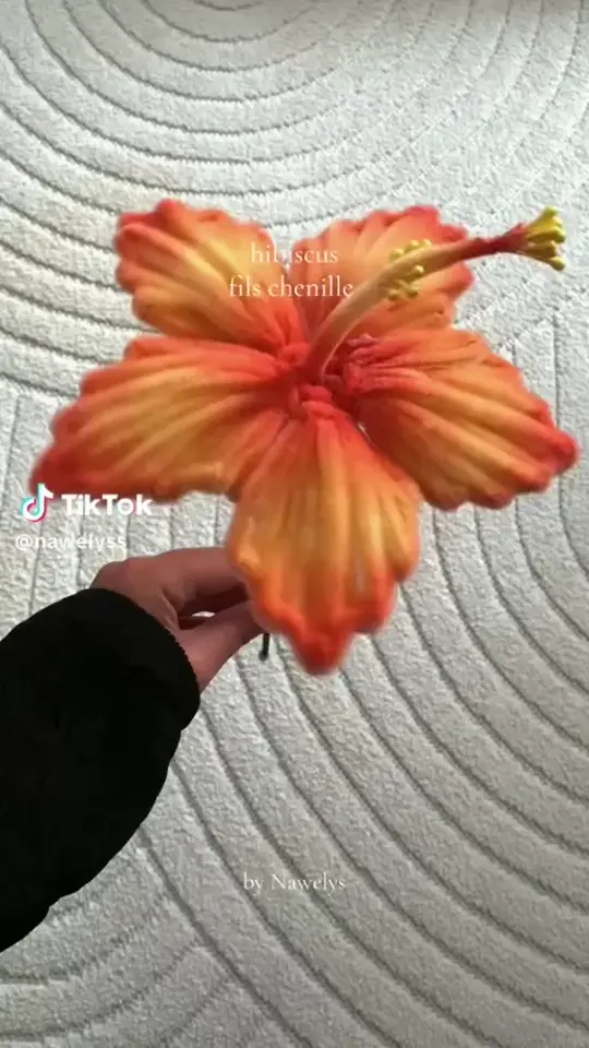fleur corail